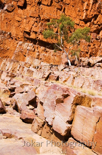 Redbank Gorge_20070914_167.jpg